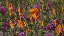 Thumbnail 16