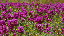 Thumbnail 20