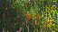 Thumbnail 22