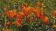 Thumbnail 25
