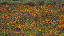 Thumbnail 26