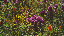 Thumbnail 36