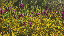 Thumbnail 37