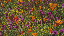 Thumbnail 40
