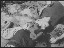 Thumbnail 16