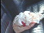 Thumbnail 20