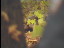 Thumbnail 31