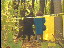 Thumbnail 32