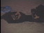 Thumbnail 41