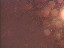 Thumbnail 60