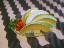 Thumbnail 16