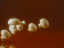 Thumbnail 35