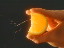 Thumbnail 44