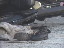 Thumbnail 23