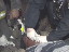 Thumbnail 25