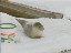 Thumbnail 23