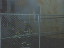 Thumbnail 27