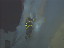 Thumbnail 28