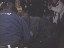 Thumbnail 20