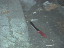 Thumbnail 46