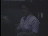 Thumbnail 28
