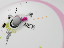 Thumbnail 22