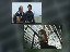 Thumbnail 44