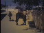 Thumbnail 24