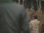 Thumbnail 30