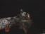 Thumbnail 61