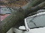 Thumbnail 19