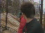 Thumbnail 22