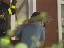 Thumbnail 32