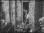 Thumbnail 16