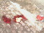 Thumbnail 23