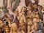 Thumbnail 25