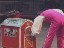 Thumbnail 23