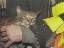 Thumbnail 54