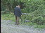 Thumbnail 22