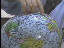 Thumbnail 36