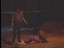 Thumbnail 25