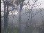 Thumbnail 37