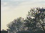 Thumbnail 45