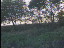 Thumbnail 46
