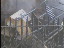 Thumbnail 22