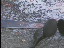 Thumbnail 40