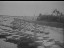 Thumbnail 22
