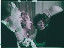 Thumbnail 18