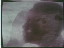 Thumbnail 22