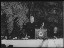 Thumbnail 23